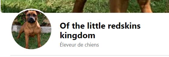 Of The Little Redskins Kingdom - Suivez-nous sur Facebook !